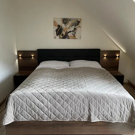 U Dvoch Levov Guest house *