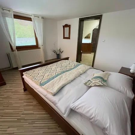 Guest house U Dvoch Levov *