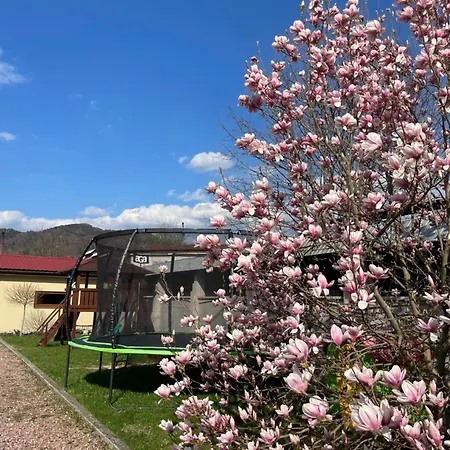 U Dvoch Levov * Oravsky Podzamok