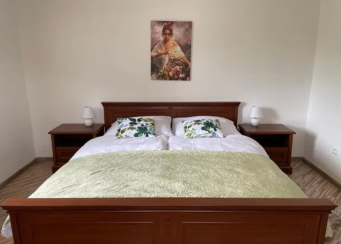 Πανσιόν U Dvoch Levov *